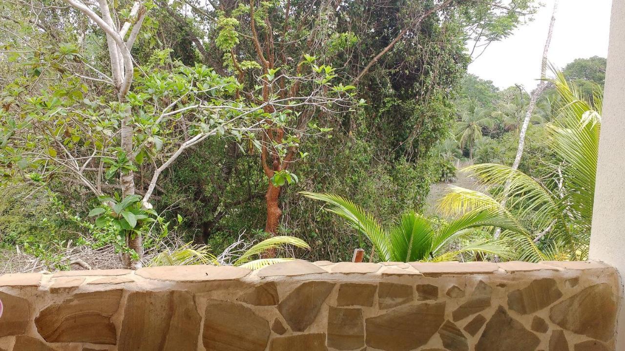 Montezuma Hills - Two Houses In A Private Compound Exteriör bild